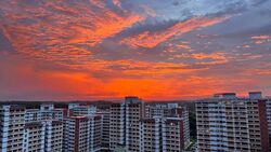 Blk 417 Keat Hong Laurel (Choa Chu Kang), HDB 4 Rooms #591502071